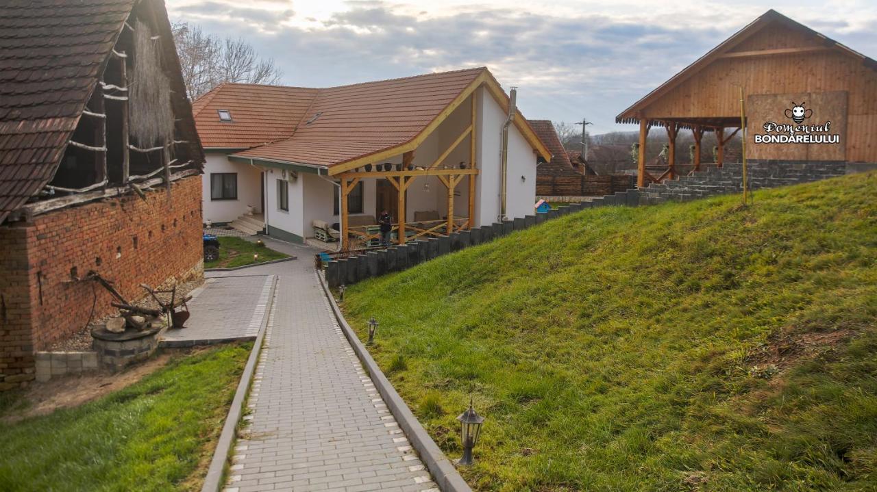 Hotel Domeniul Bondarelului Ocolisu Mic Exterior foto